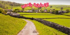 مفردات الريف والمدينة بالإنجليزية