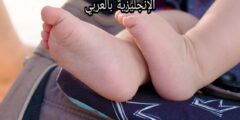 مفردات الحمل والولادة بالإنجليزية