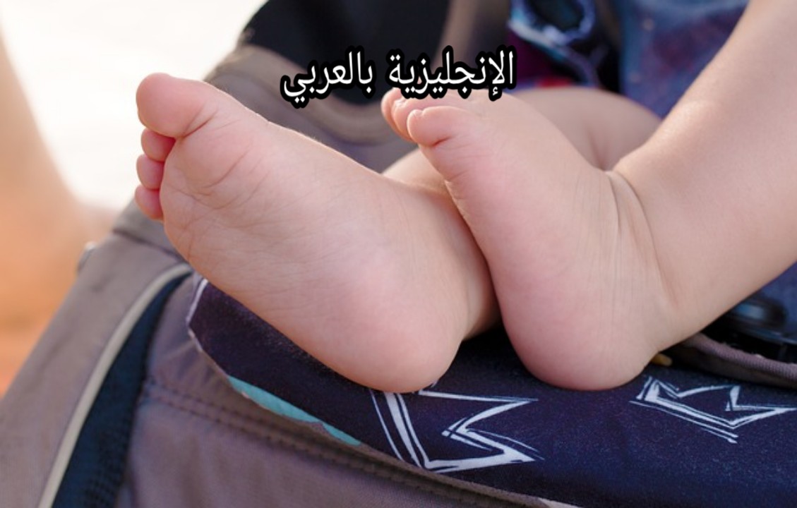 مفردات الحمل والولادة بالإنجليزية