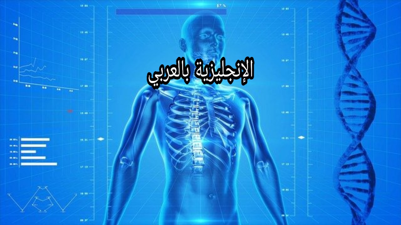 مفردات الهيكل العظمي للإنسان بالإنجليزية