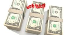 مصطلحات العملات في اللغة الإنجليزية