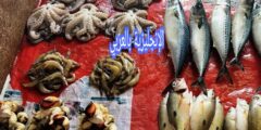 المحادثة مع بائع السمك بالإنجليزية مترجمة للعربية مع النطق