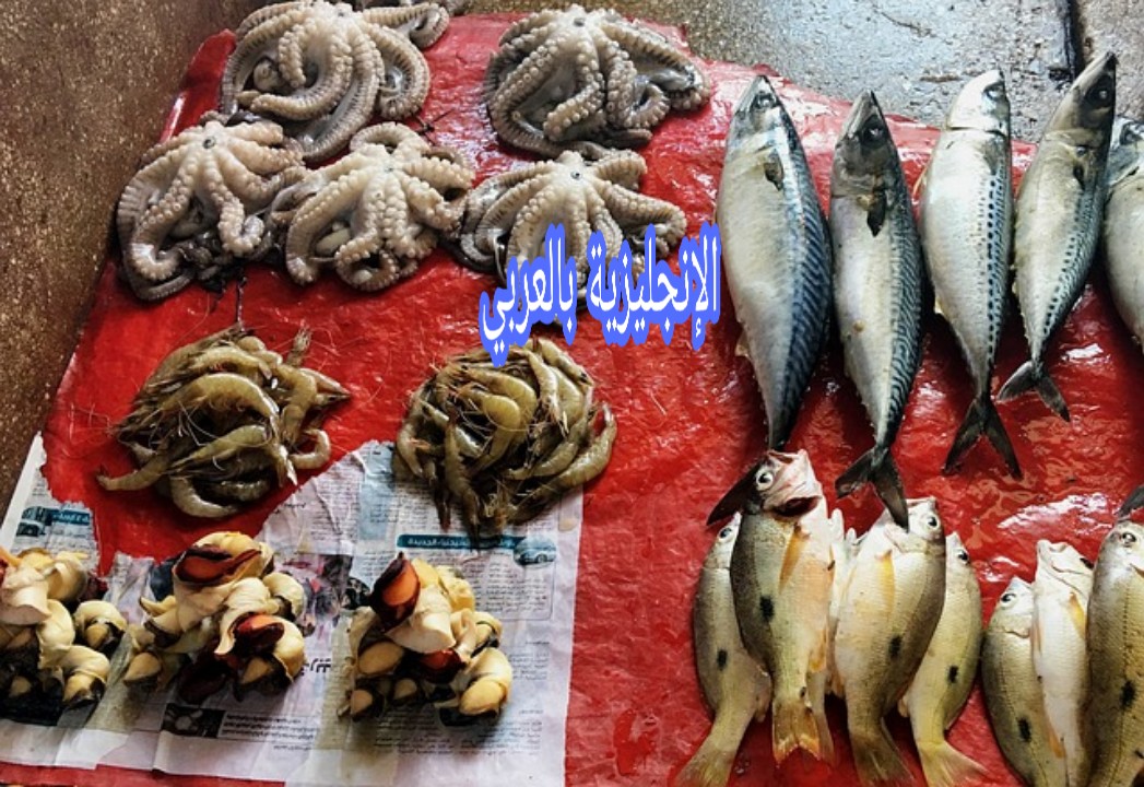 المحادثة في المسمكة بالإنجليزية
