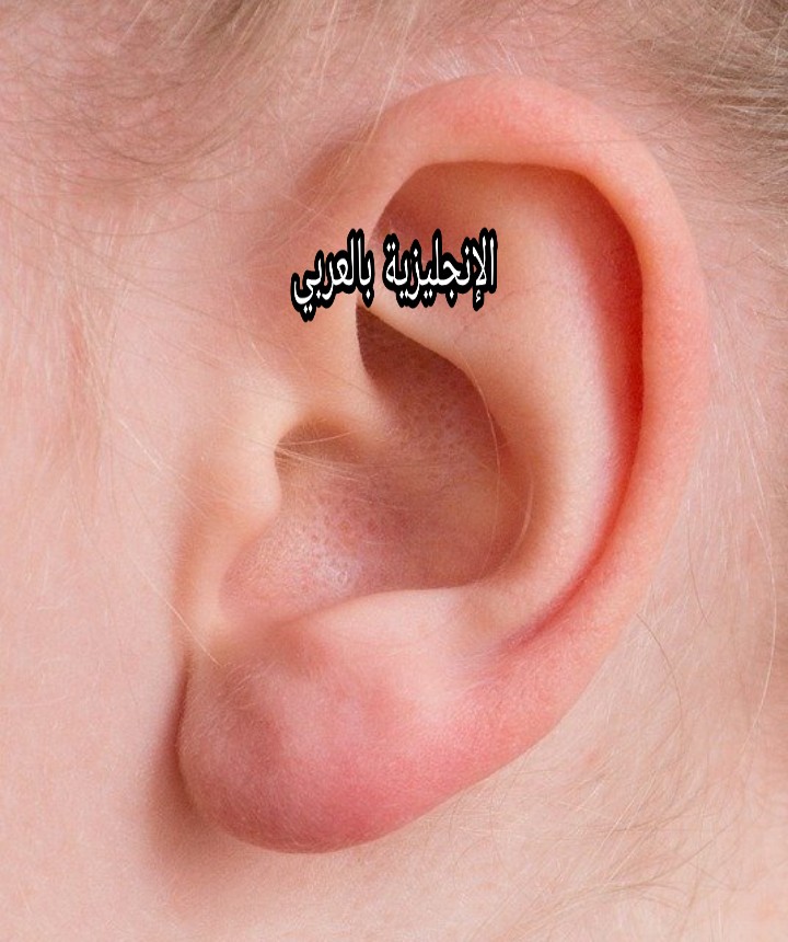 مفردات الحواس الخمس في الإنجليزية