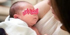 مفردات حياة الإنسان بالإنجليزي