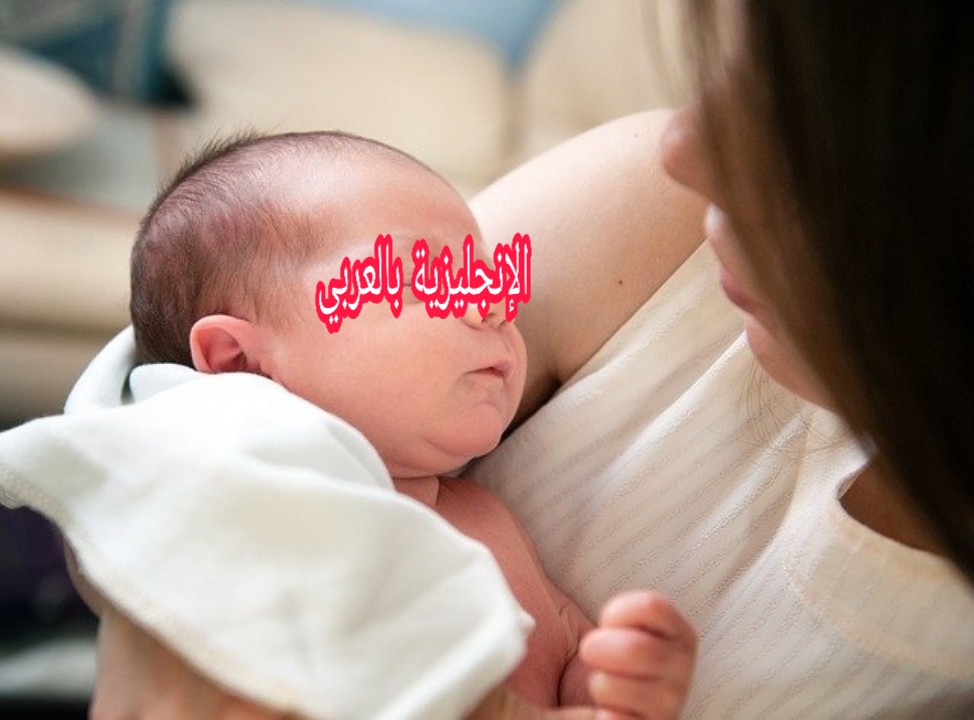 مفردات حياة الإنسان بالإنجليزي