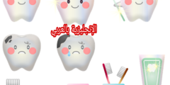 أسماء الأسنان بالإنجليزية مترجمة للعربية مع النطق