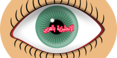 مفردات العين بالإنجليزية والعربية