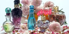 مفردات العطور و الروائح بالإنجليزية