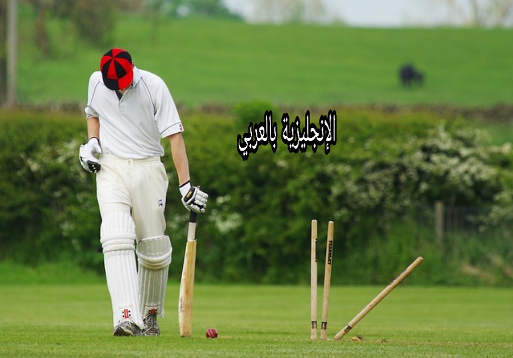 مصطلحات رياضة الكريكت في الإنجليزية