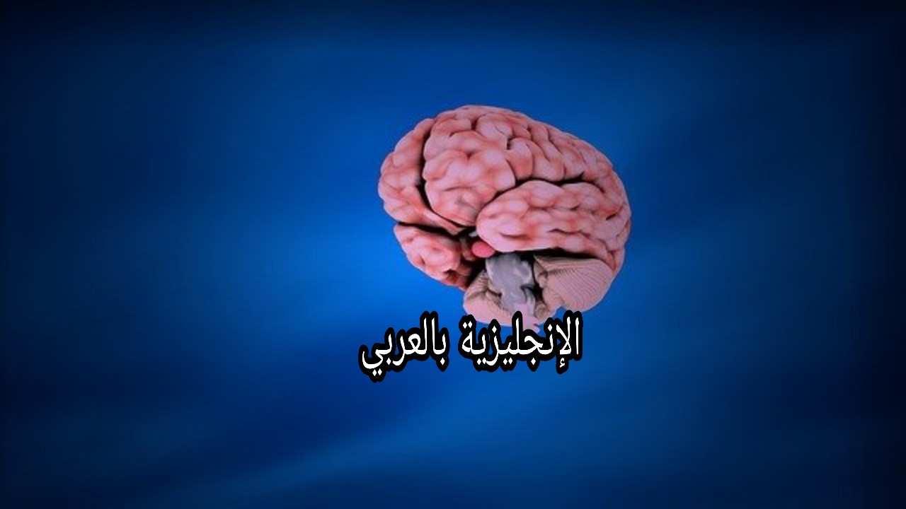الجهاز العصبي بالإنجليزي والعربي