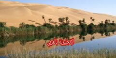 مفردات الواحة بالإنجليزي والعربي مع النطق بالعربي