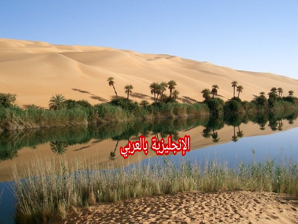مصطلحات الواحة بالإنجليزي