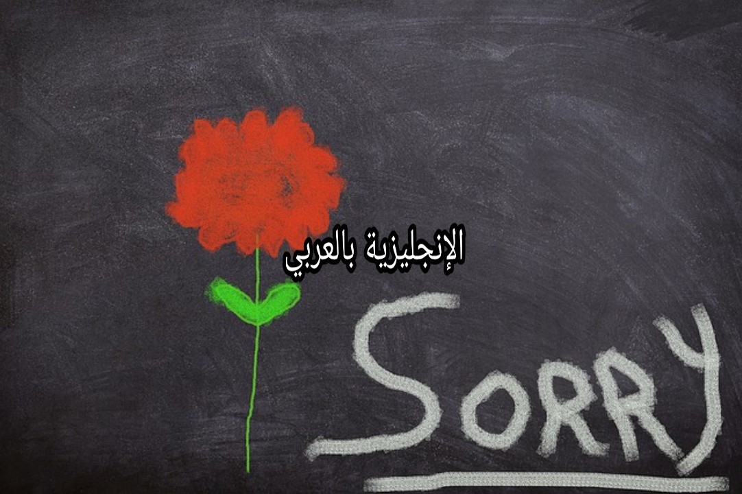 مصطلحات الإعتذار في الإنجليزية