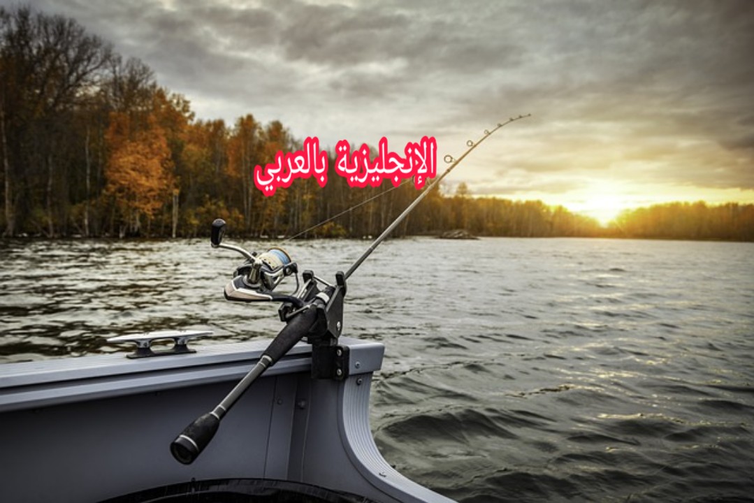 مصطلحات الهوايات بالإنجليزي