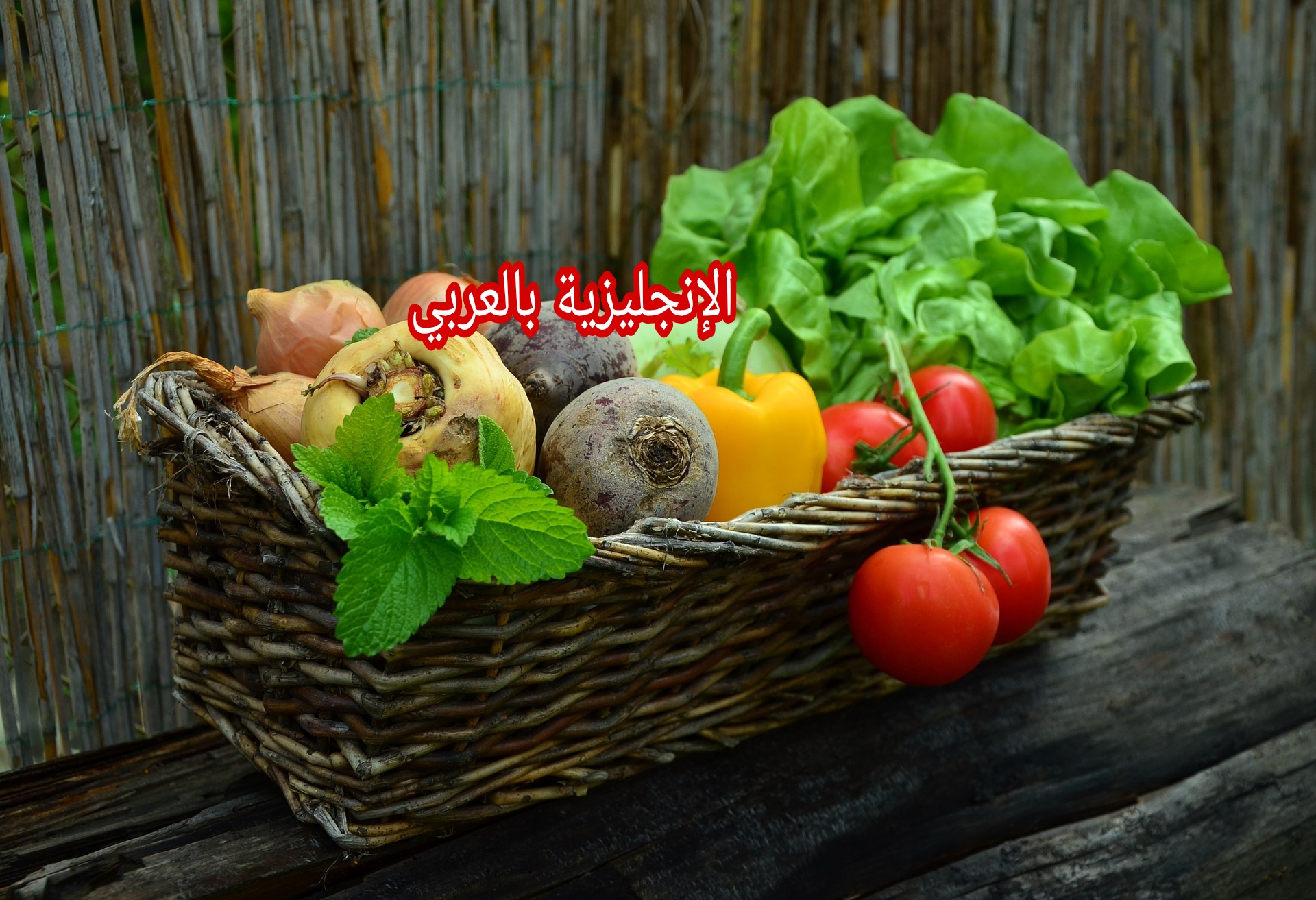 الخضر في اللغة الإنجليزية