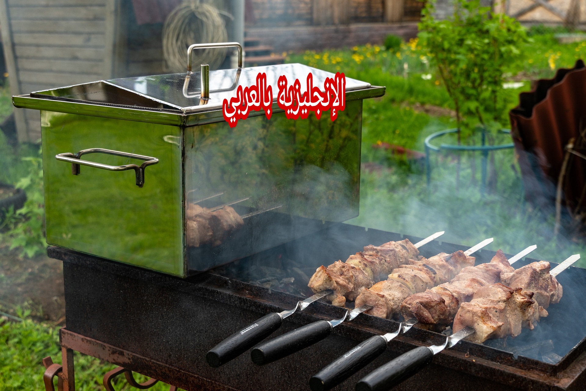 أنواع الأسماك واللحوم بالإنجليزية