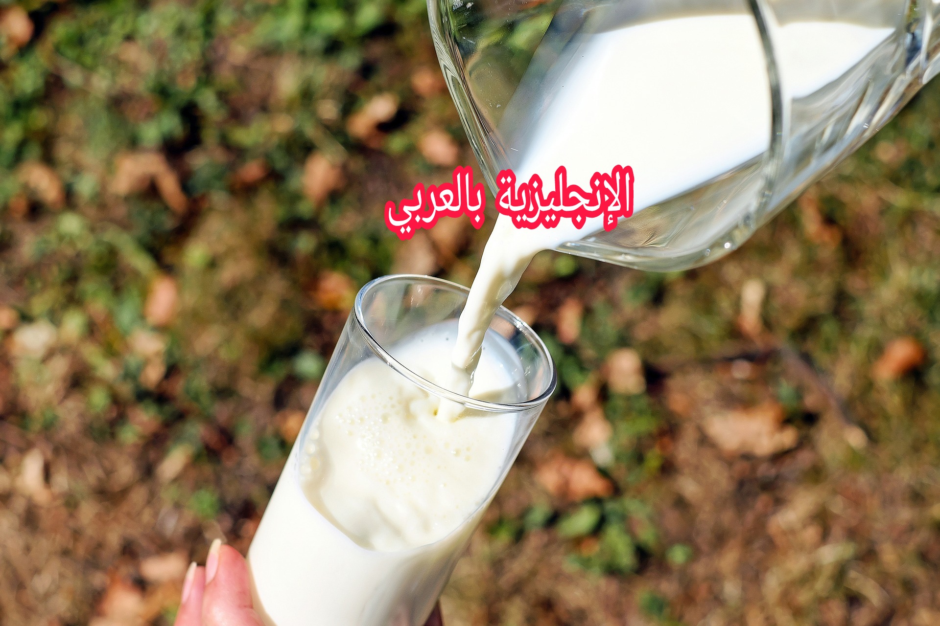 أسماء الحليب والألبان بالإنجليزية