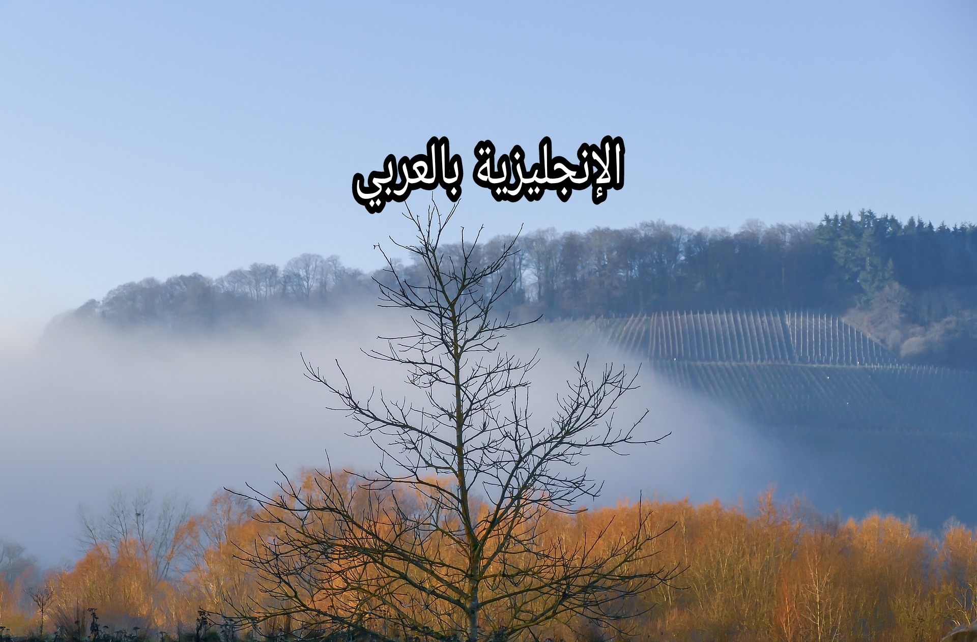 مصطلحات الخريف بالإنجليزي