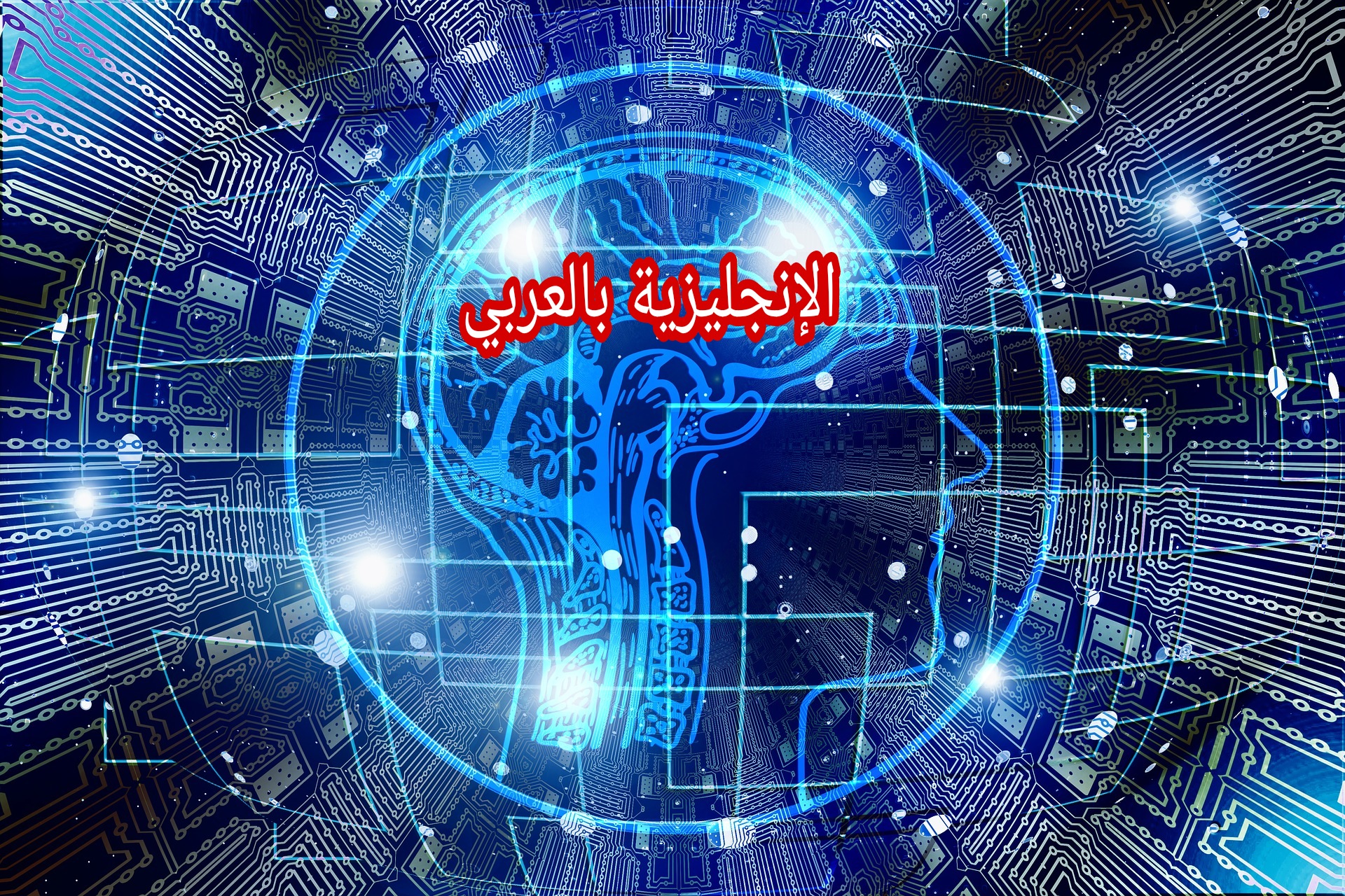 العلوم بالإنجليزية مترجمة للعربية