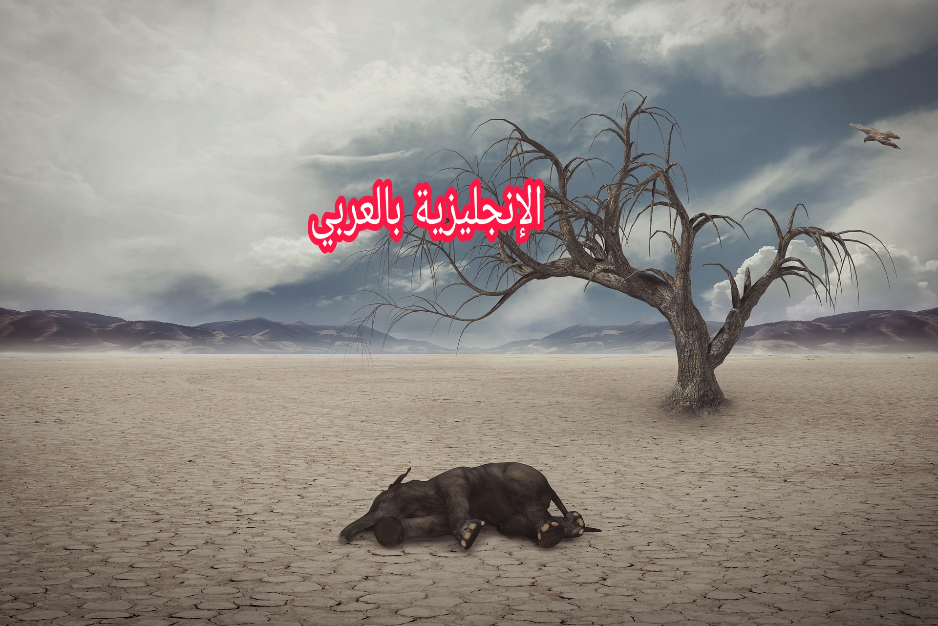 الحيوانات المنقرضة بالإنجليزي