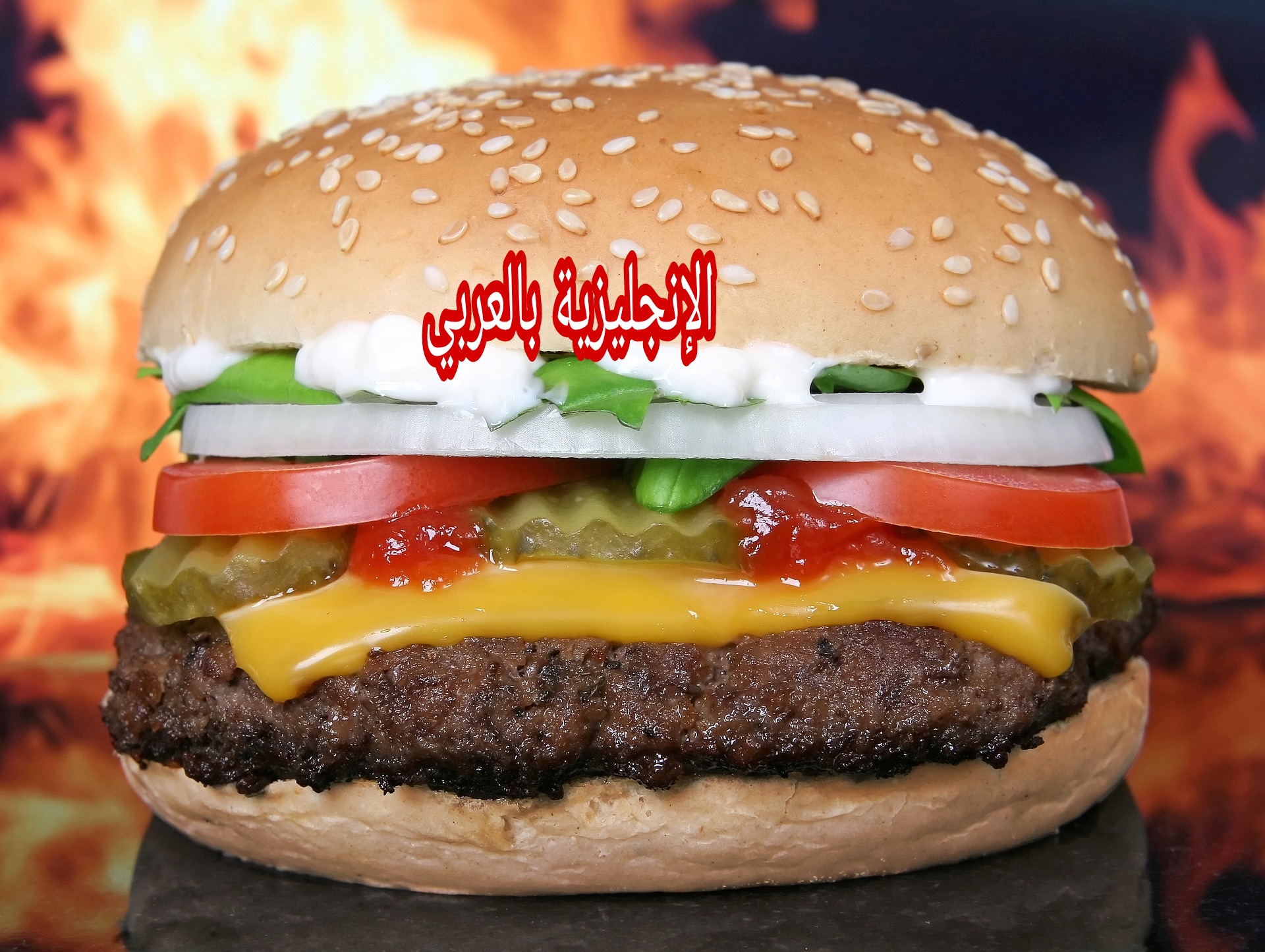 الطعام السريع بالإنجليزية