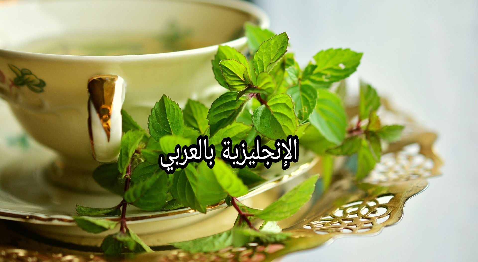 الأعشاب الطبية في اللغة الإنجليزية