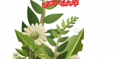أجزاء النبات بالإنجليزي والعربي مع النطق
