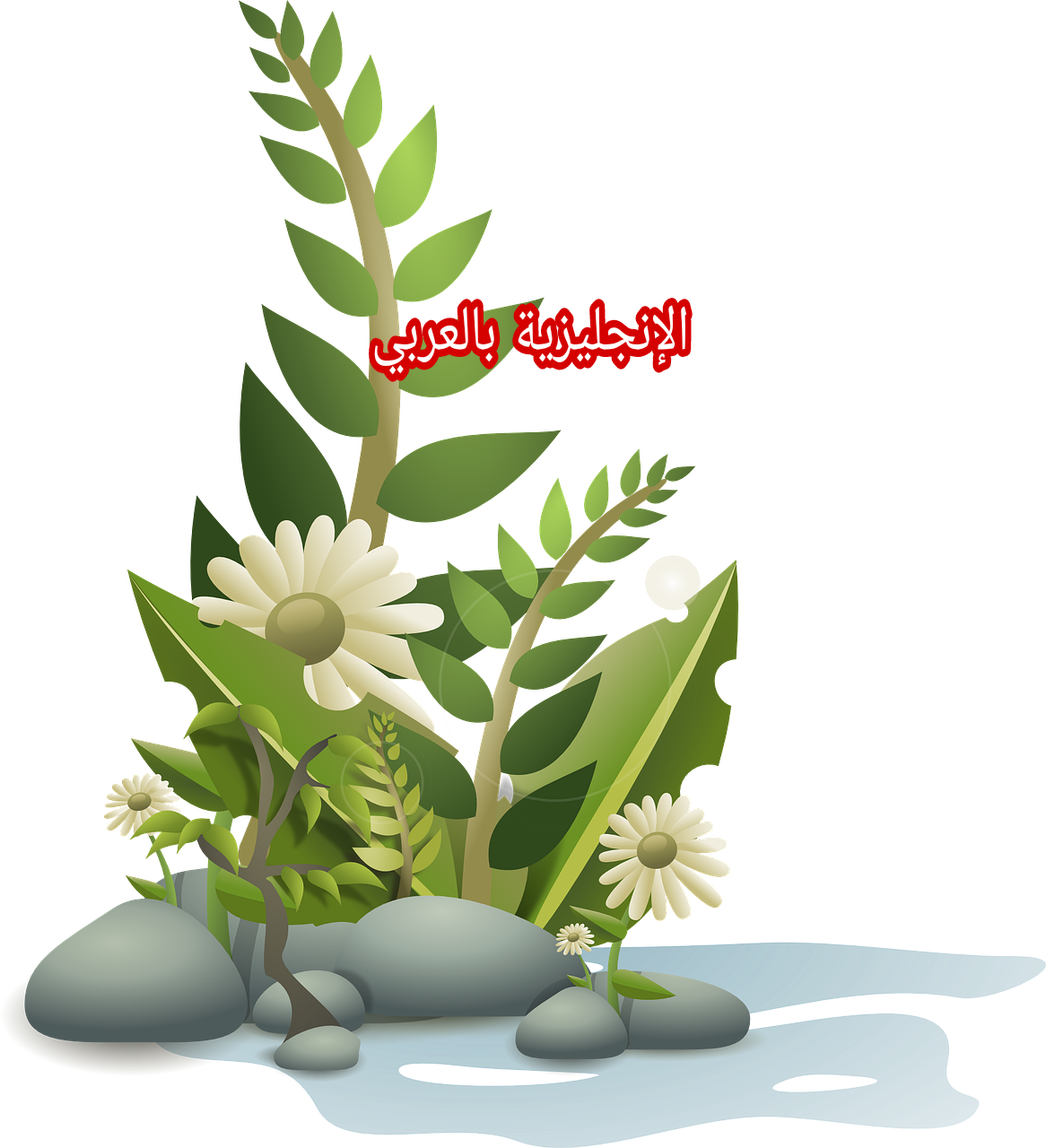 مكونات النبات والشجر بالإنجليزية