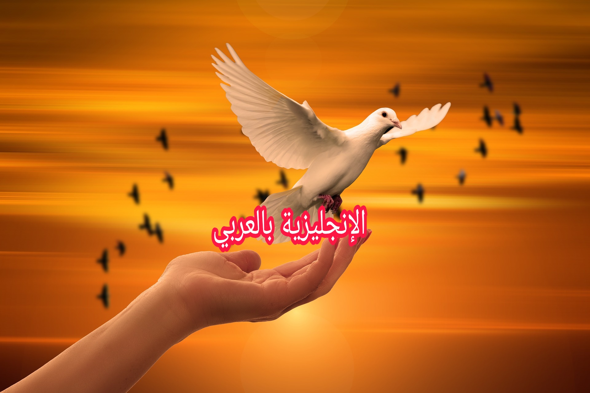 السلام في اللغة الإنجليزية