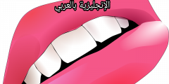 فم الإنسان في اللغة الإنجليزية