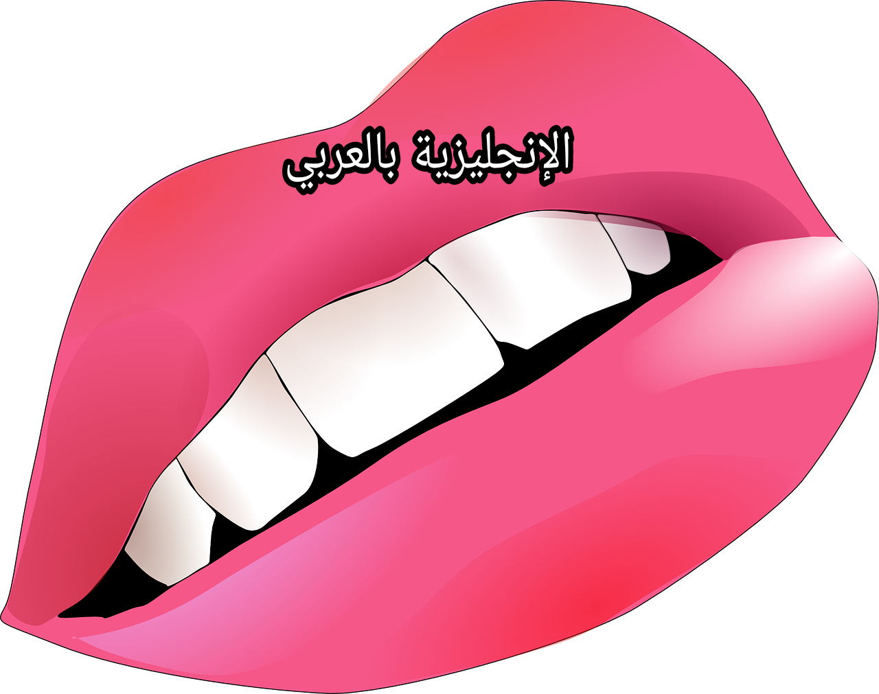 فم الإنسان في اللغة الإنجليزية