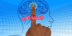أجزاء مخ الإنسان بالإنجليزي والعربي