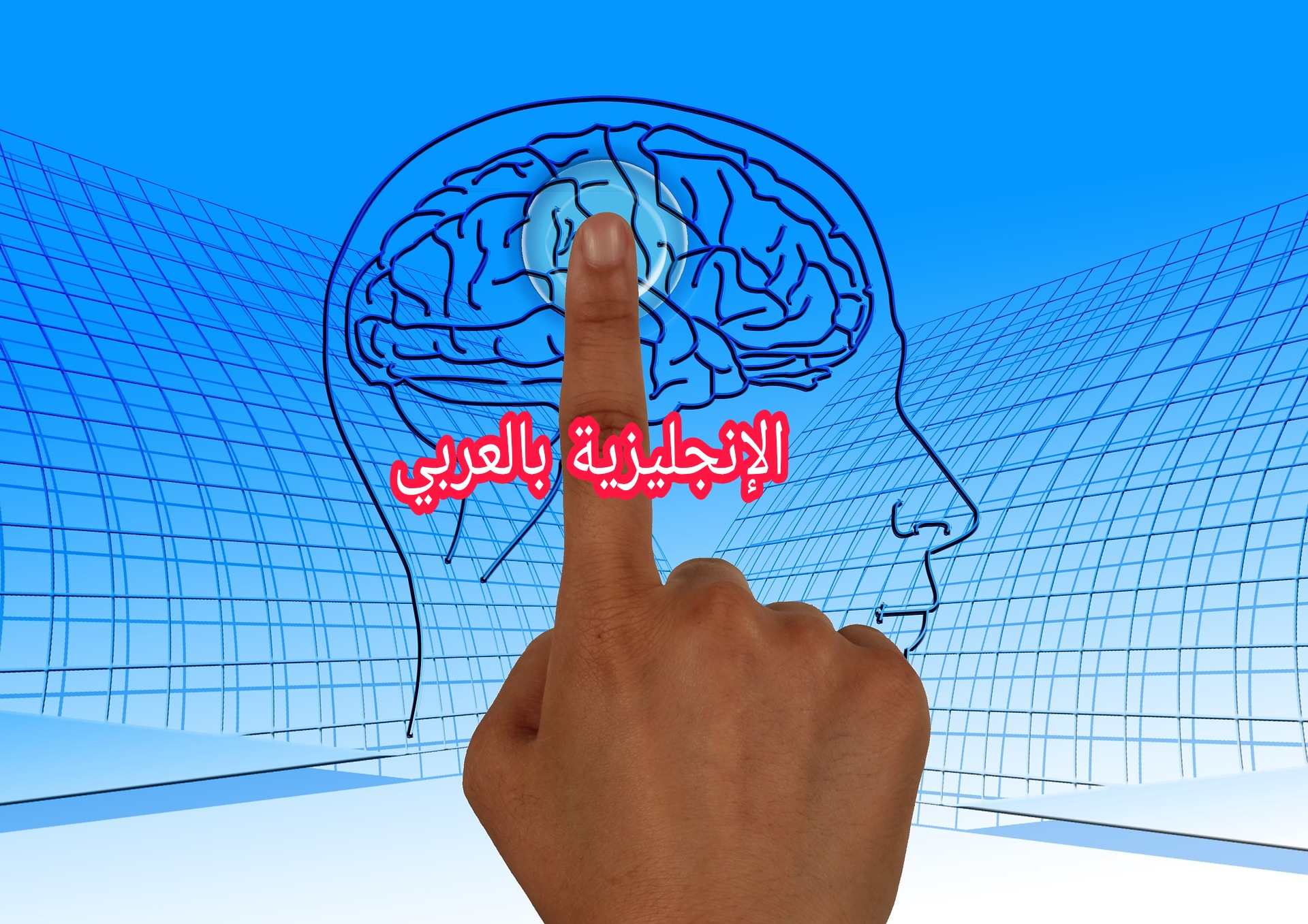 دماغ الإنسان باللغة الإنجليزية