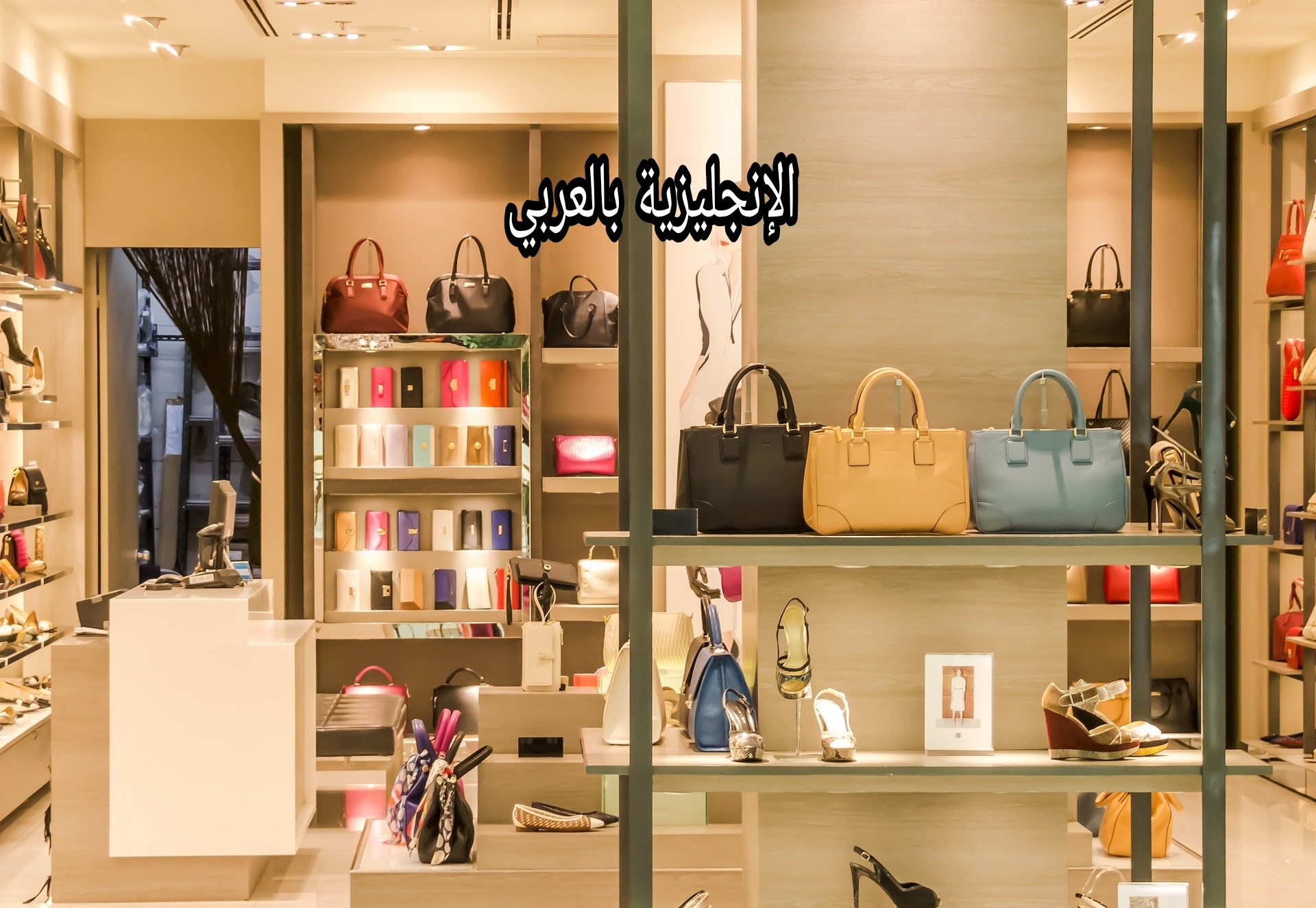 الحقيبة والمحفطة في الإنجليزية