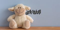 مصطلحات الفكاهة بالإنجليزية