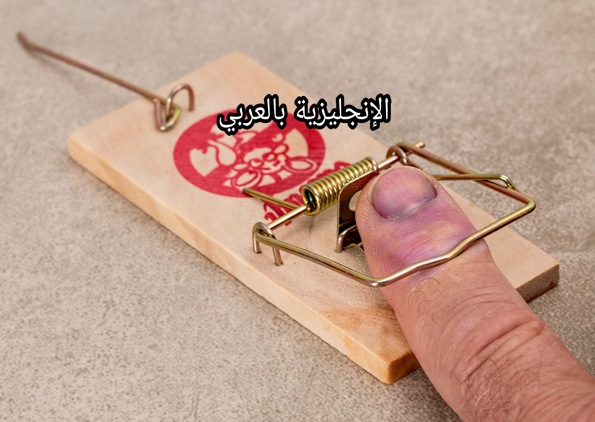 مفردات الصيد بالإنجليزية