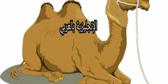 مقال حول الجمل بالإنجليزي والعربي