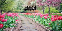 مقال حول فصل الربيع بالإنجليزي والعربي