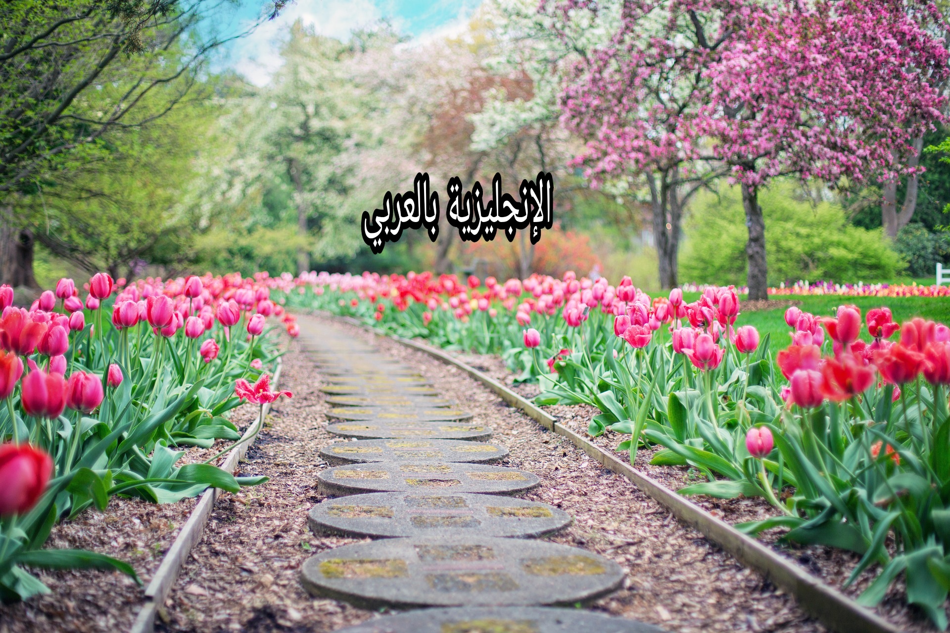 مقال حول فصل الربيع بالإنجليزي والعربي