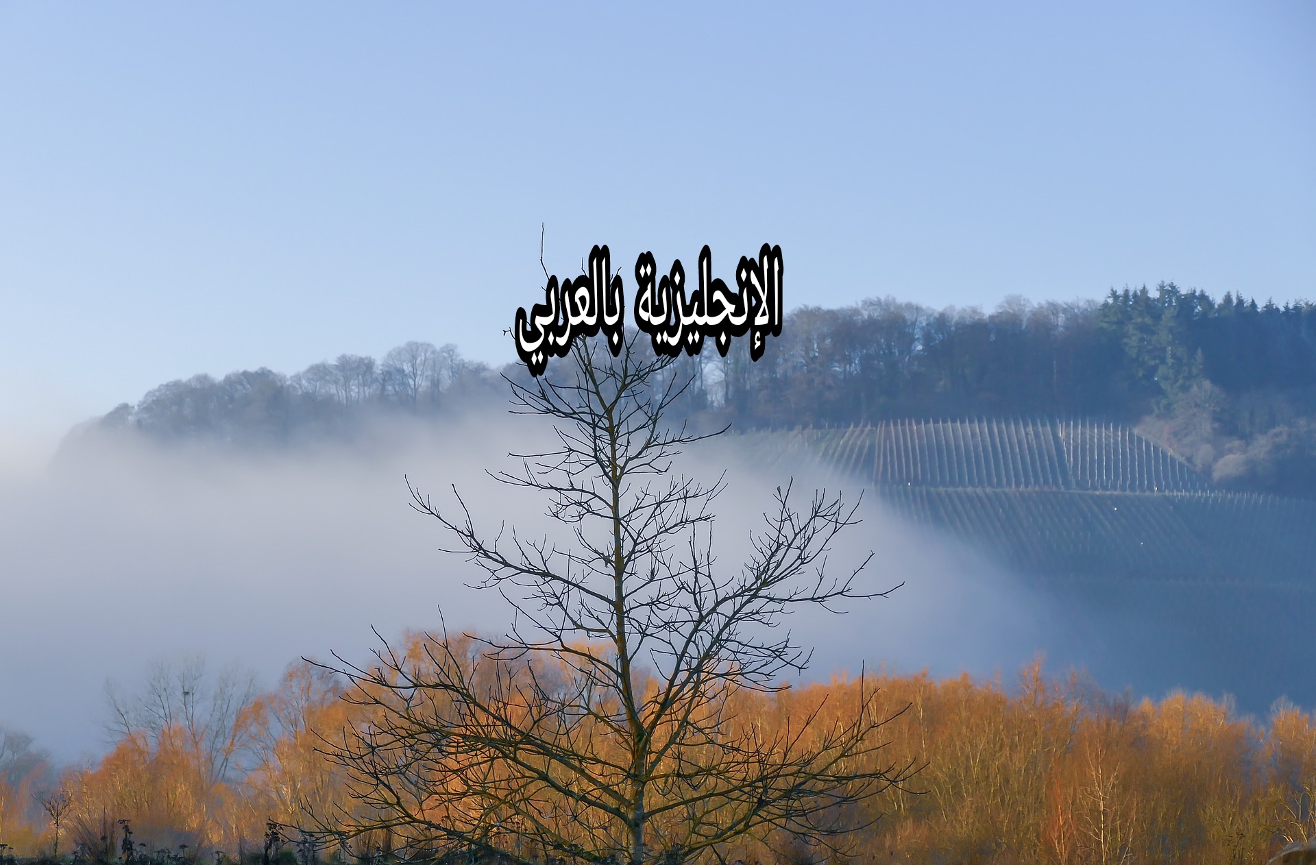 مقال حول الخريف بالإنجليزي والعربي