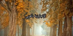 مقال حول الفصول الأربعة بالإنجليزي