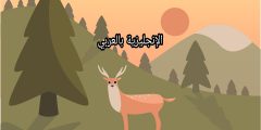 مقال حول الحيوانات باللغة الإنجليزية
