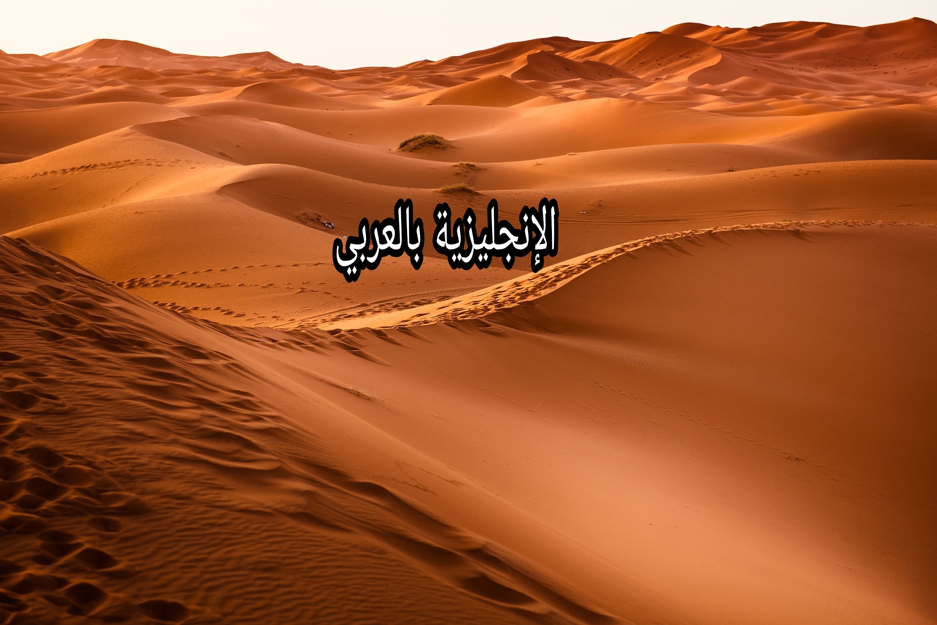 موضوع عن الصحاري بالإنجليزي