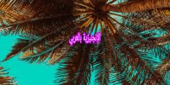 مقال عن النخلة بالإنجليزي