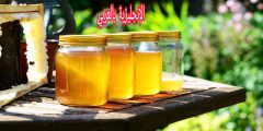 تعبير أو برجراف عن العسل بالإنجليزي والعربي