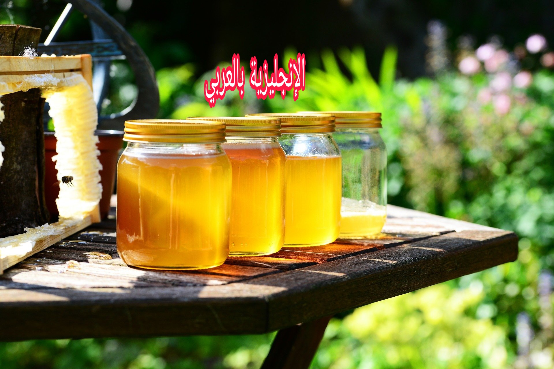 مقال عن العسل بالإنجليزي
