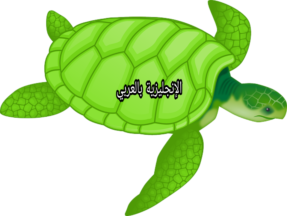 موضوع عن السلحفاة بالإنجليزي والعربي