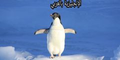 تعبير أو برجراف عن البطريق بالإنجليزي والعربي