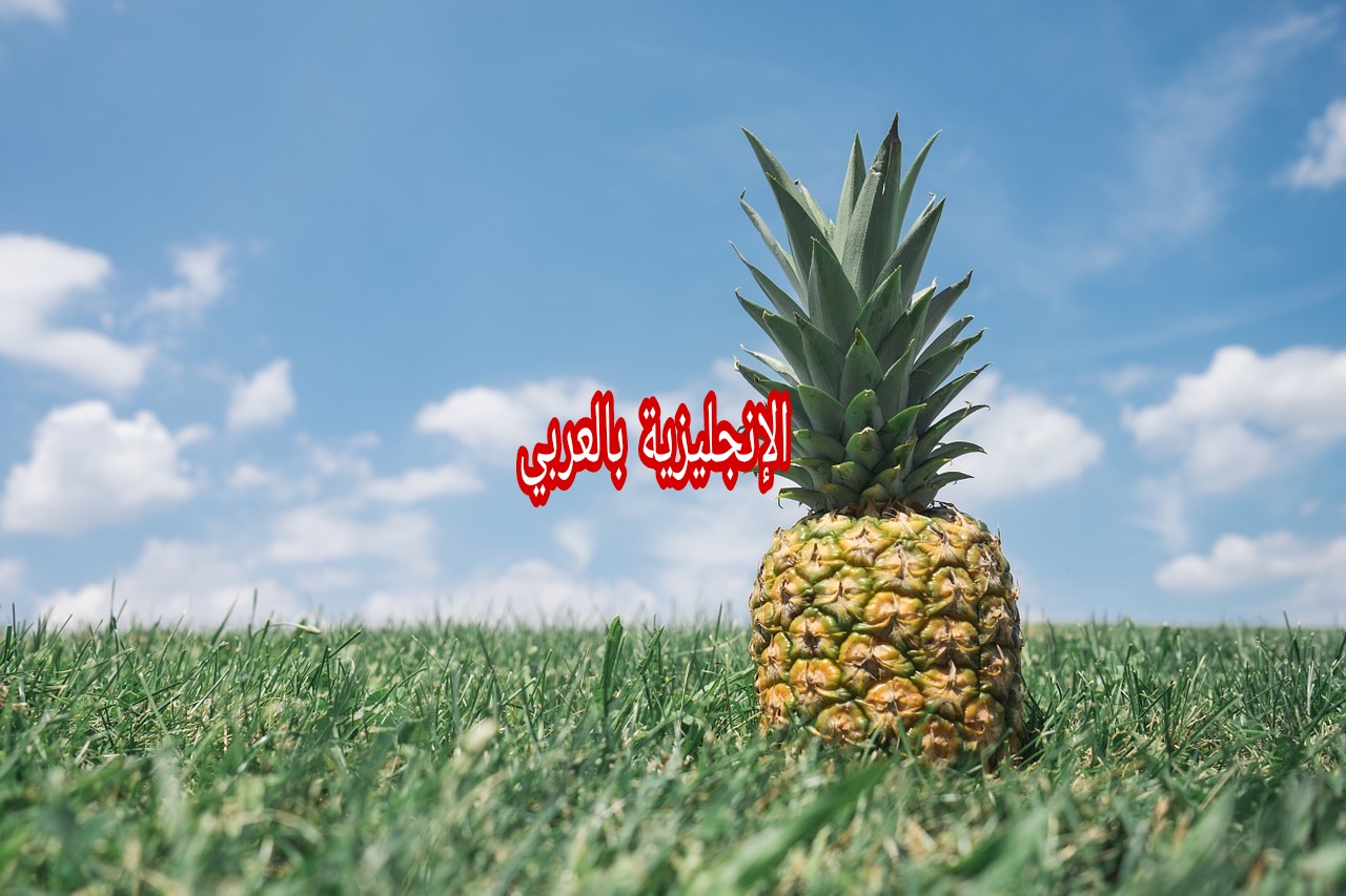 فقرة عن الأناناس بالإنجليزي